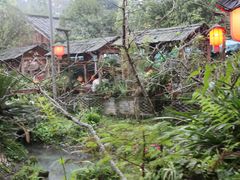 -青城甲(青城山店)