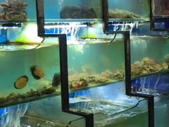 水产区-老东镇啤酒屋海鲜加工·蒸汽海鲜·海鲜烧烤(台东店)