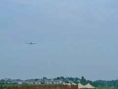 -空港花田景区