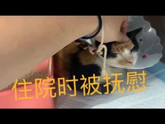 -爱诺耐芙动物医院(万博店)