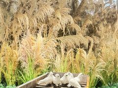 -福田美术馆——新童话主义－周艺文艺术季