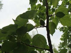 -沕沕水生态风景区