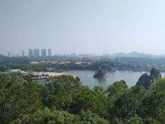 -东莞市虎英郊野公园