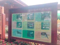 -大湾区中央湿地公园