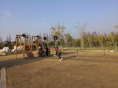 -上海长兴岛郊野公园