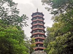 -红花山公园