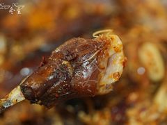 麻辣烤兔-鸿运兔·手撕烤兔(天府广场店)