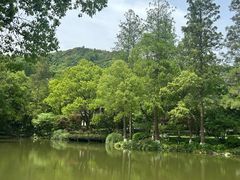 -杭州花家山庄