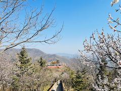 -妙峰山风景名胜区