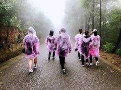 -雨花胜境