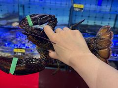 -日照大牌檔•小船海鲜(万平口店)