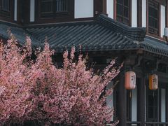 -江苏三台山国家森林公园