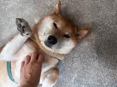 -三目仓咖啡(贤南路店)