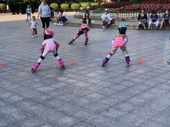 -米高轮滑·自由式轮滑·速桩·滑板(锦辉店)