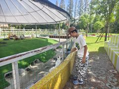 -前小桔亲子创意农场·草莓采摘·露营烧烤