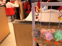 -蛙来哒(汇一城黑金冠店)