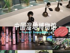 -中国湿地博物馆