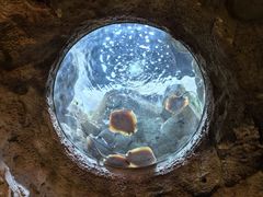 -珠海长隆海洋王国