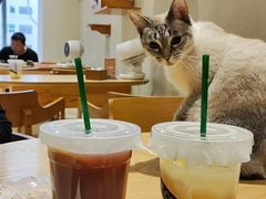 -藏猫猫咖啡主题馆(中央大道店)
