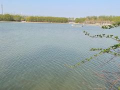 -廊坊市自然公园