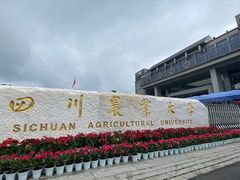 -老字号怡玺·藿香雅鱼(20年雅安店)