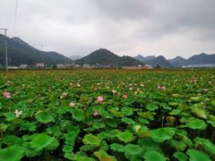 -安龙招堤