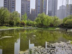 -木塔寺遗址生态公园