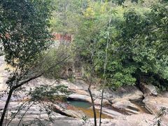 -广州白江湖森林公园