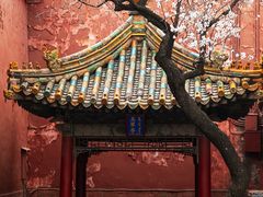 -故宫博物院(故宫)