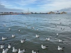 -青海湖二郎剑景区
