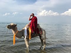 -青海湖国家重点风景名胜区
