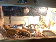 -Rabbit Cafe私房西餐甜点咖啡(栖霞路店)