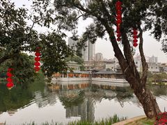 -荔湾湖公园