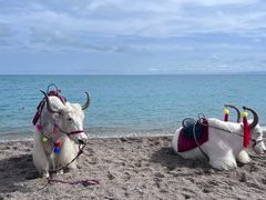 -青海湖国家重点风景名胜区