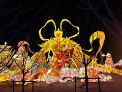 -淄博花灯齐彩城