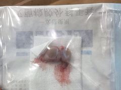 -伟伟宠物医院·CT影像中心·瑞派犬猫综合性门诊(汉口总院)