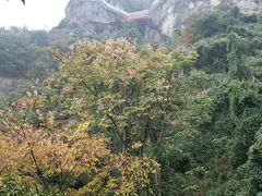 -大慈岩风景区