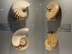 -国家自然博物馆