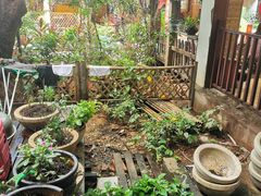 -抚仙湖生态石锅鱼野生菌(告庄店)