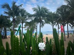 -大梅沙海滨公园