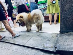 -宫廷糕点铺(建设路店)