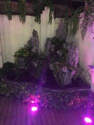 -素颜秀·纹眉·野生眉·纹唇半永久