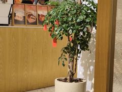 -Cafe on warm(丹霞店)