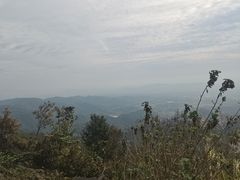 -长沙黑麋峰国家森林公园
