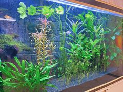 -尚足影院式足疗·住宿·美食(解放碑店)