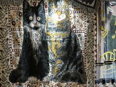 -平行世界·猫咖(首经贸店)