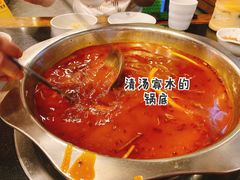 -冯记香辣兔火锅(茶店子总店)