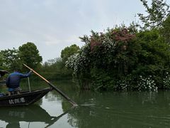 -西溪国家湿地公园