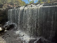 -汤旺河林海奇石景区
