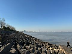 -上海滨江森林公园